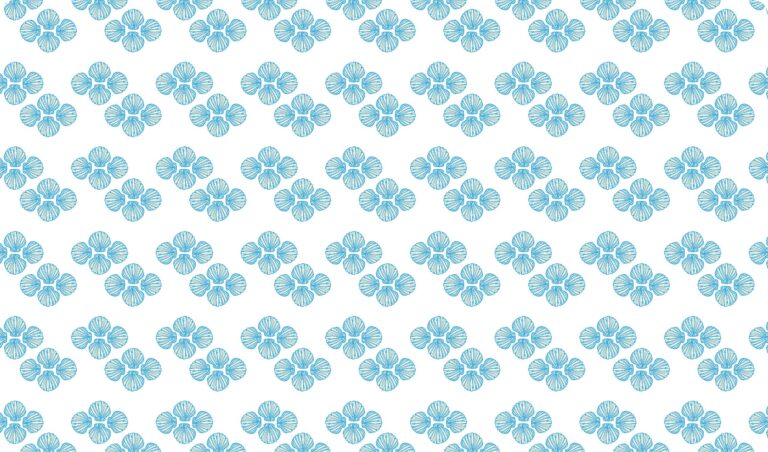 Surface Pattern design by Deborah Rhodes - softshells